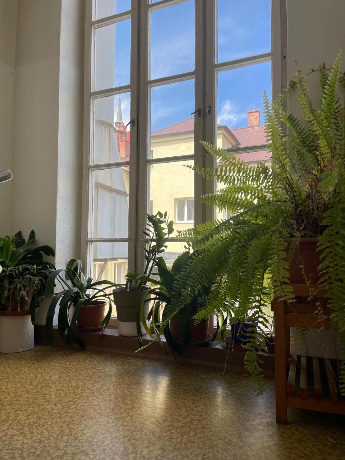 Hostel Moravia Ostrava Kültér fotó